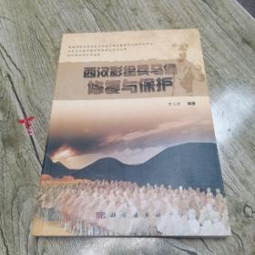 历史文化遗产保护科学研究系列丛书：西汉彩绘兵马俑修复与保护