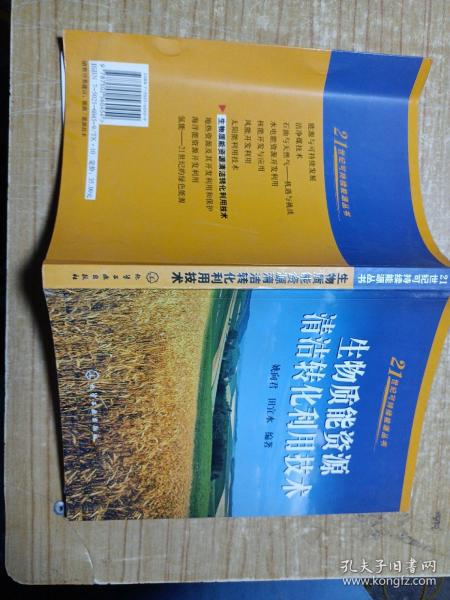 生物质能资源清洁转化利用技术/21世纪可持续能源丛书