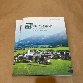 田园乡村·国际乡村发展80例：乡村振兴的多元路径（套装上下册）