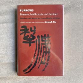 犁沟Furrows: Peasants, intellectuals, and the State