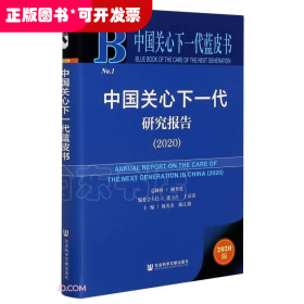 中国关心下一代研究报告