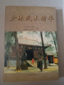 少林武术精华
