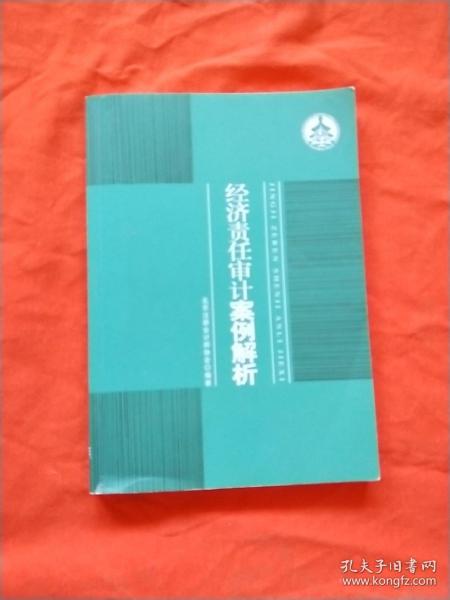 经济责任审计案例解析