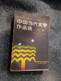 中国当代文学作品选第一卷