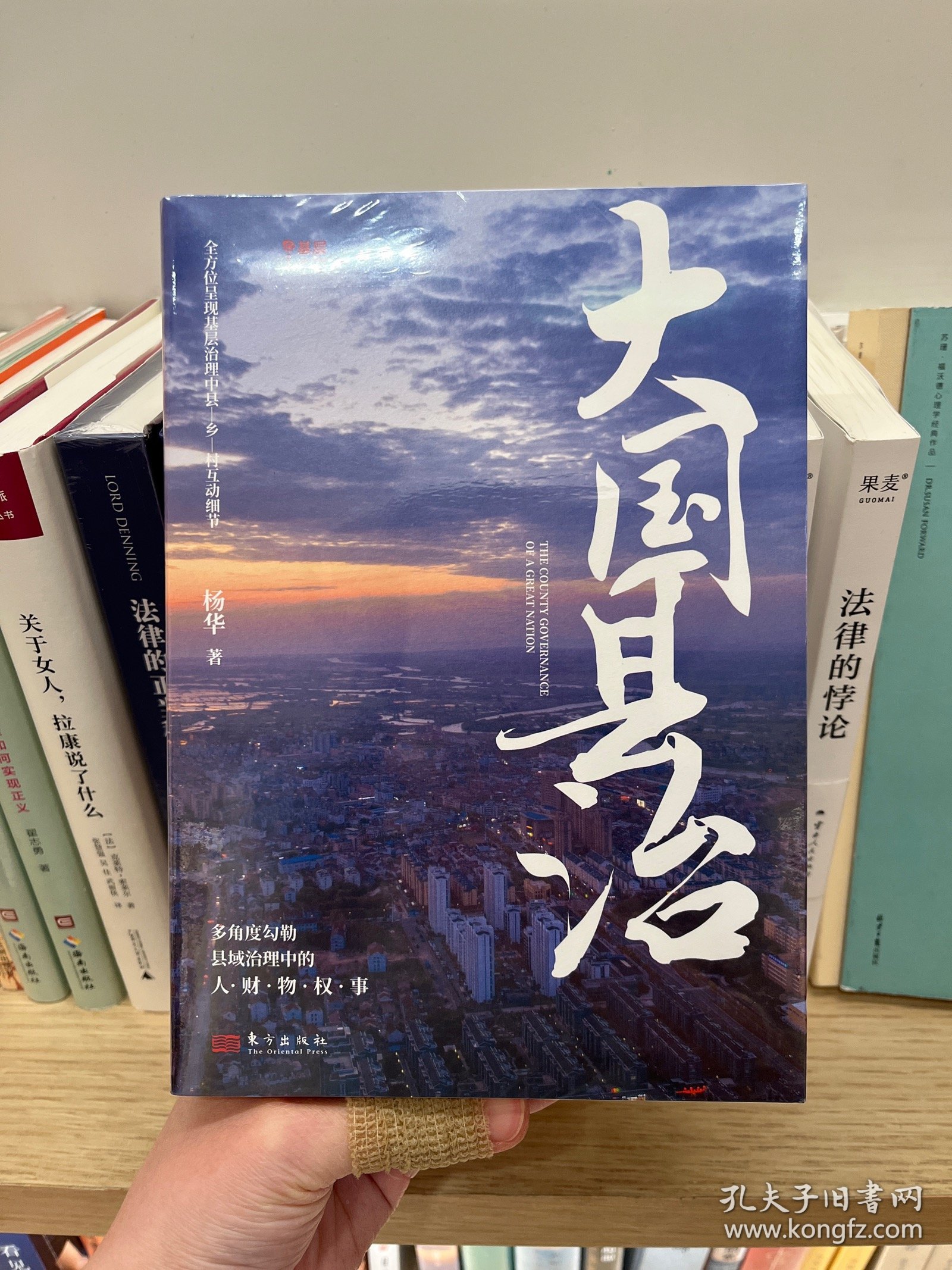 大国县治（继《县乡中国》后 畅销书作者杨华又一基层治理力作）