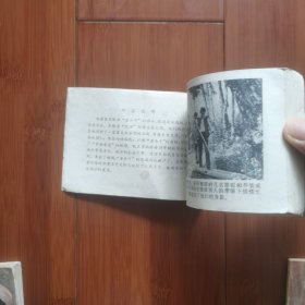 电视剧连环画：铜鼓（下）一一黄金通道