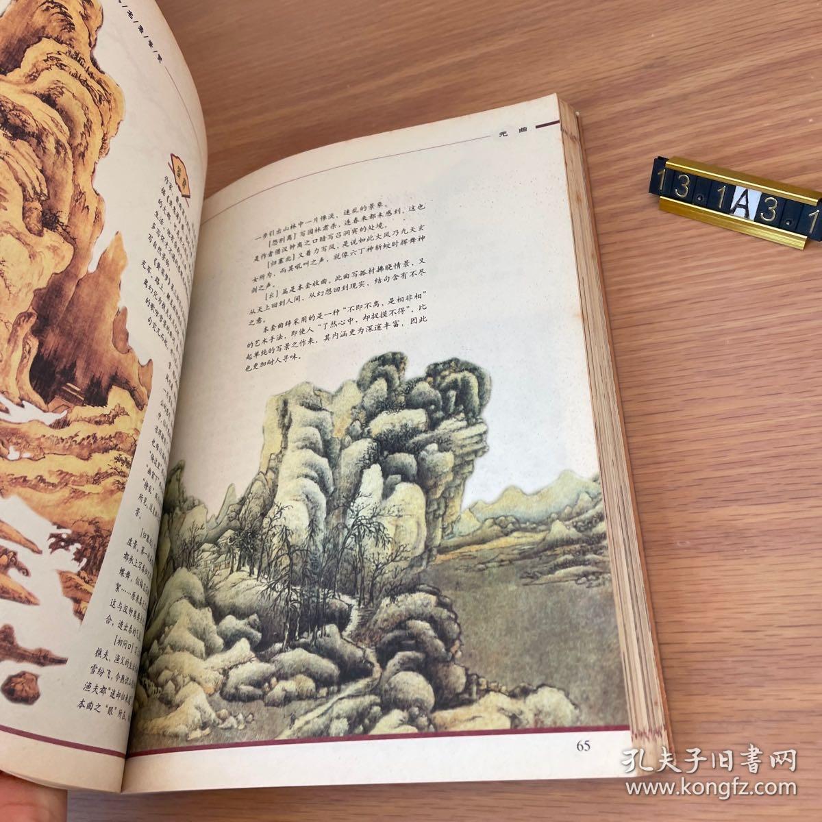 中国古典名著鉴赏--宋词（彩图版）