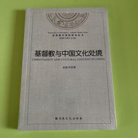 基督教中国化研究丛书：基督教与中國文化处境