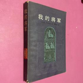 我的将军