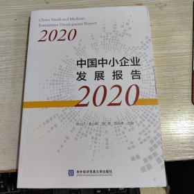 中国中小企业发展报告2020