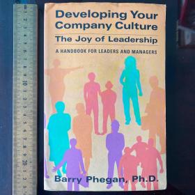 Developing your company culture the joy of leadership  英文原版