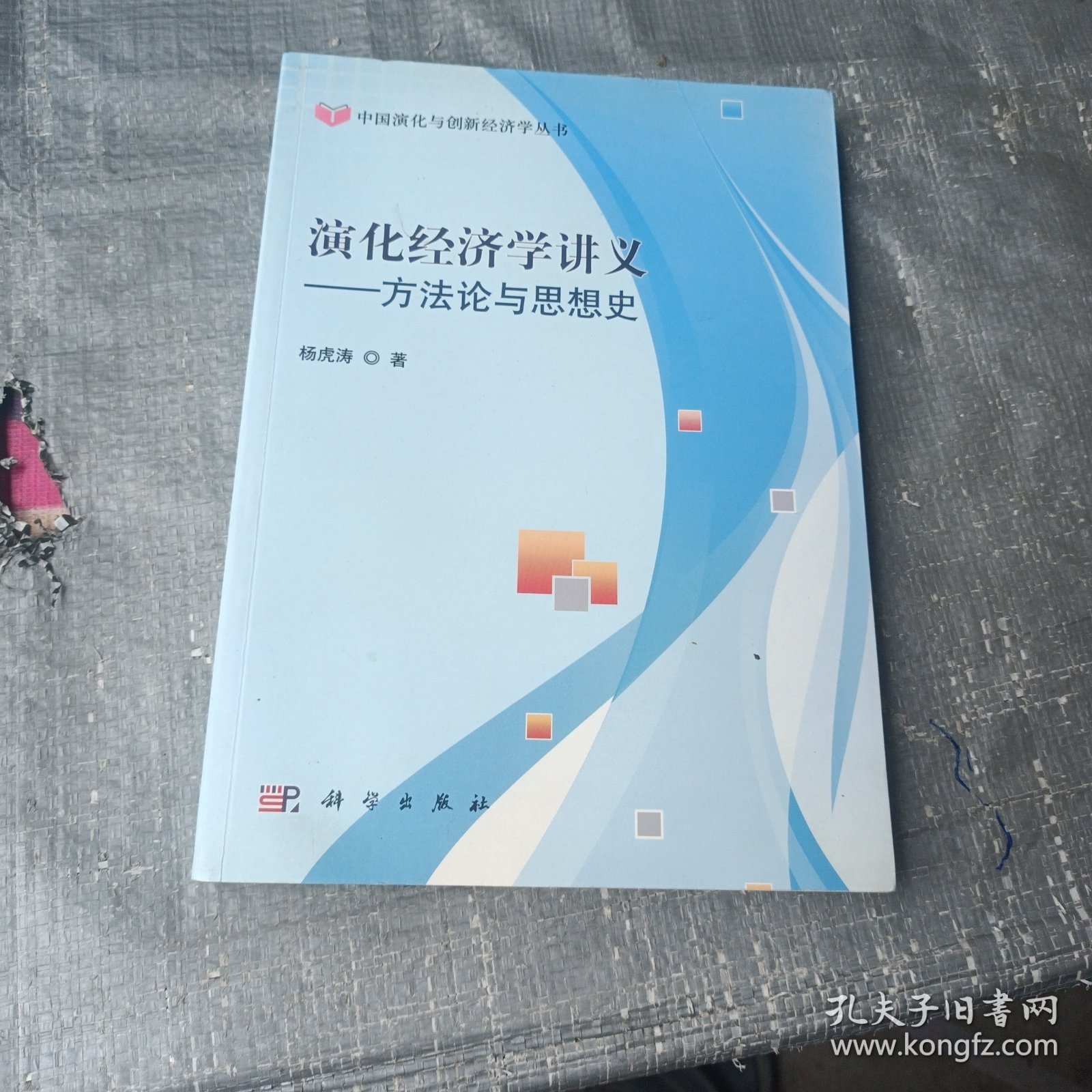 演化经济学讲义：方法论与思想史