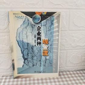 企业两种现金流