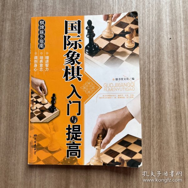 棋牌娱乐指南：国际象棋入门与提高