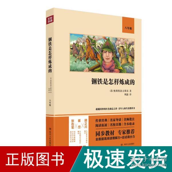 钢铁是怎样炼成的(8年级)