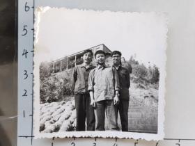 60年代三帅哥合影照片“邹毓枫”(邹位相册，邹位约1961年毕业于昆工附中，之后就读于昆明工学院)