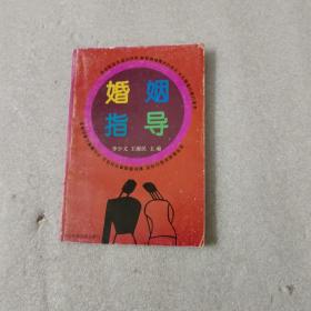 婚姻指導(dǎo)李少文王雨民