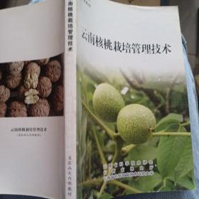 云南核桃栽培管理技术