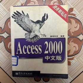 Access 2000中文版