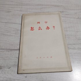列宁怎么办《大32开平装》