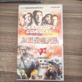 加里森敢死队（VCD26蝶）