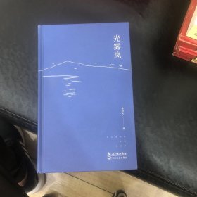 (精装)光雾岚
