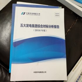 五大发电集团综合对标分析报告 2016