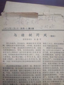 北京大学，学报，1979年6月11日，百花园第四期。五、六，余8开两个版面。哲学系王念宁的散文《与桔树同风》，俄语系李勤的诗歌《湖畔的小路》，