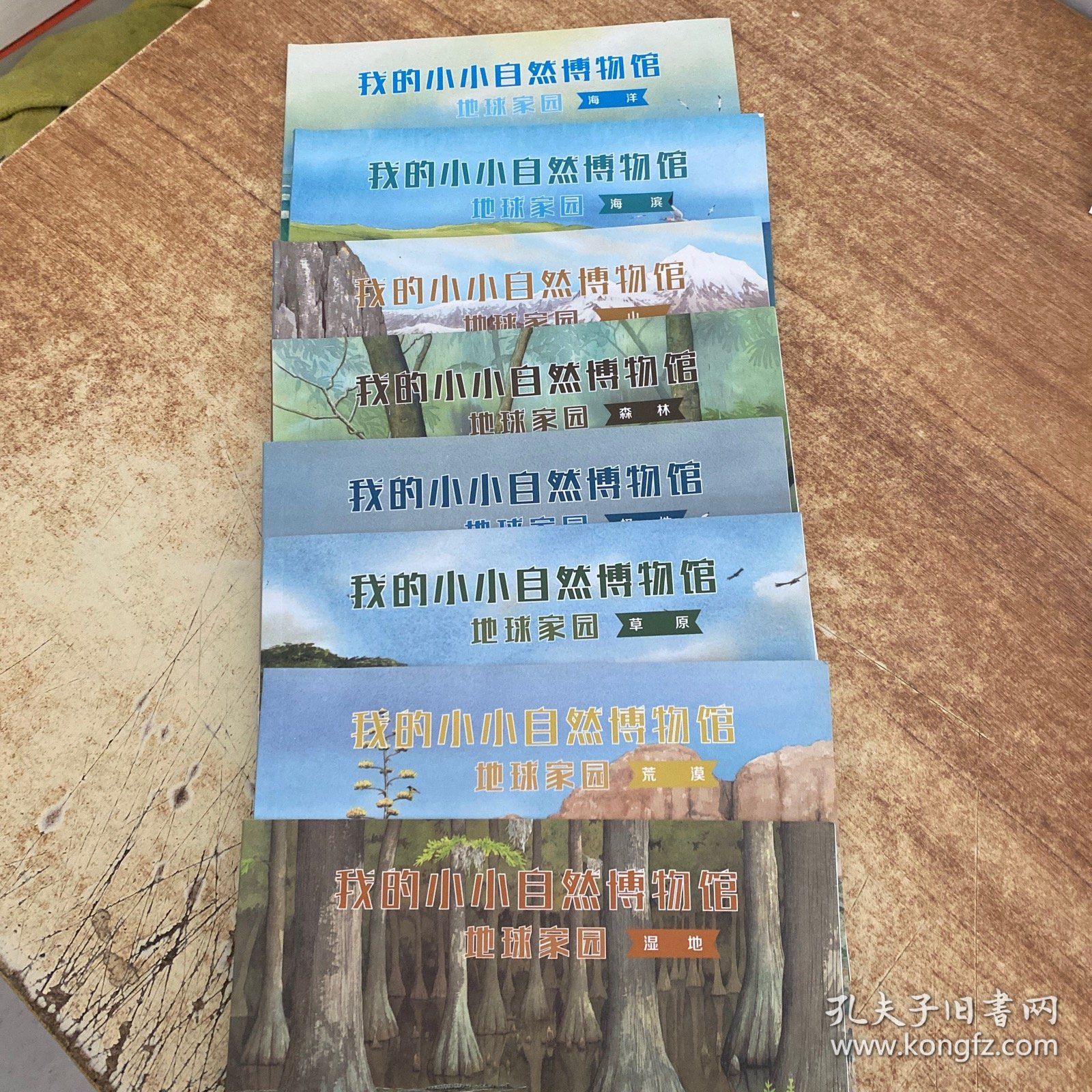 我的小小自然博物馆地球家园（套装共8册）