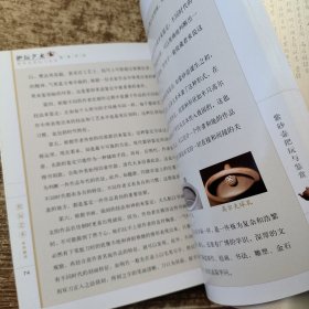 紫砂壶把玩与鉴赏