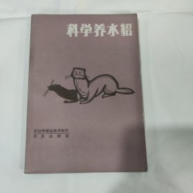 科学养水貂