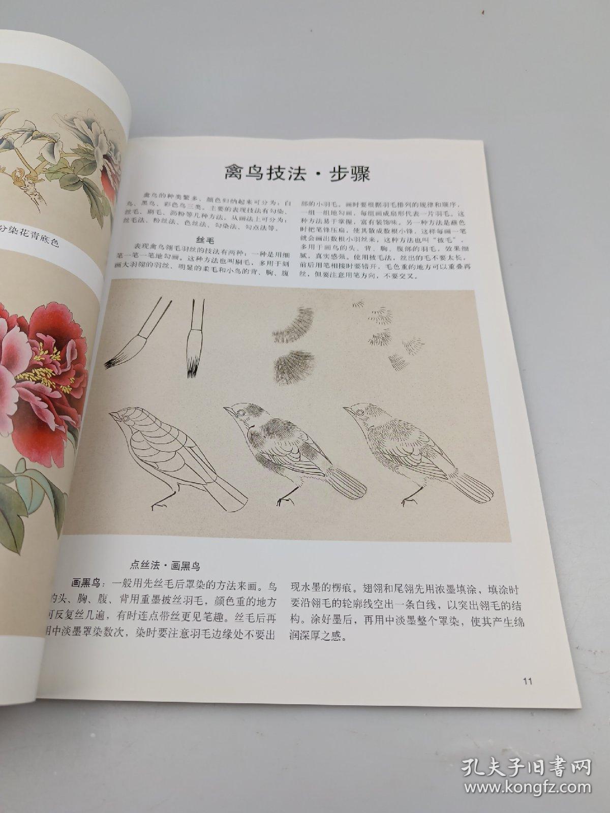 工笔花鸟画技法