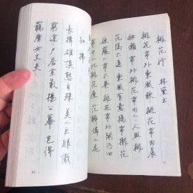 红楼梦诗词精品钢笔字帖