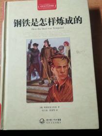 钢铁是怎样炼成的（世界文学名著典藏全译插图本）