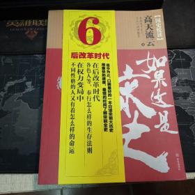 如果这是宋史6 后改革时代卷