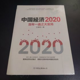 中国经济2020