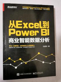 从Excel到Power BI：商业智能数据分析  16开