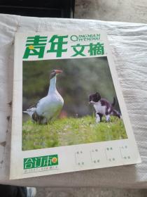 青年文摘合订本 总337.338期