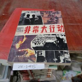 1983非常大行動