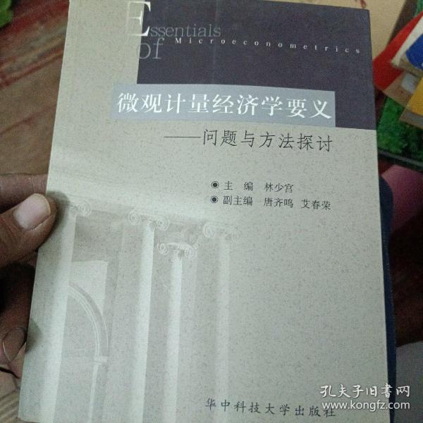 微观计量经济学要义：问题与方法探讨