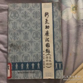 新气功疗法图解（特种功、高级功）