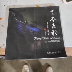 天堂飞羽——王建国鸟类系列摄影集