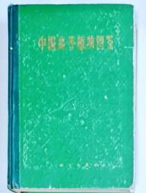 中国高等植物图鉴 第四册