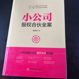 小公司股权合伙全案