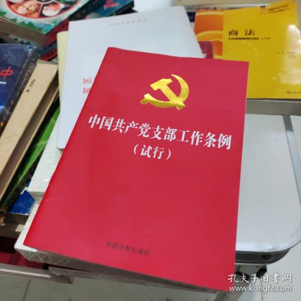 中国共产党支部工作条例（试行）