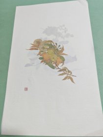 画册
