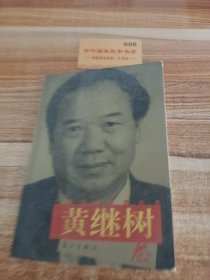 广西当代作家丛书,当代作家丛书