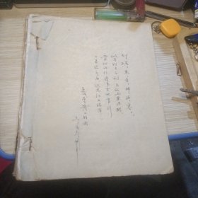 手写中医资料 最后有插图 书法精美（不知是否齐全脱页了）