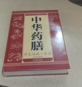 中华药膳养生治病一本通