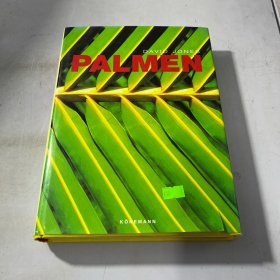 DAVID JONES PALMEN